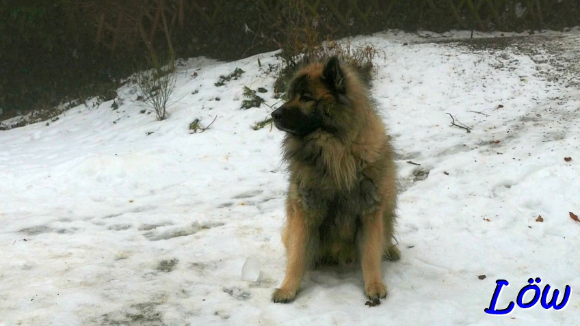 25.1.2026 - Dwix ruht in sich